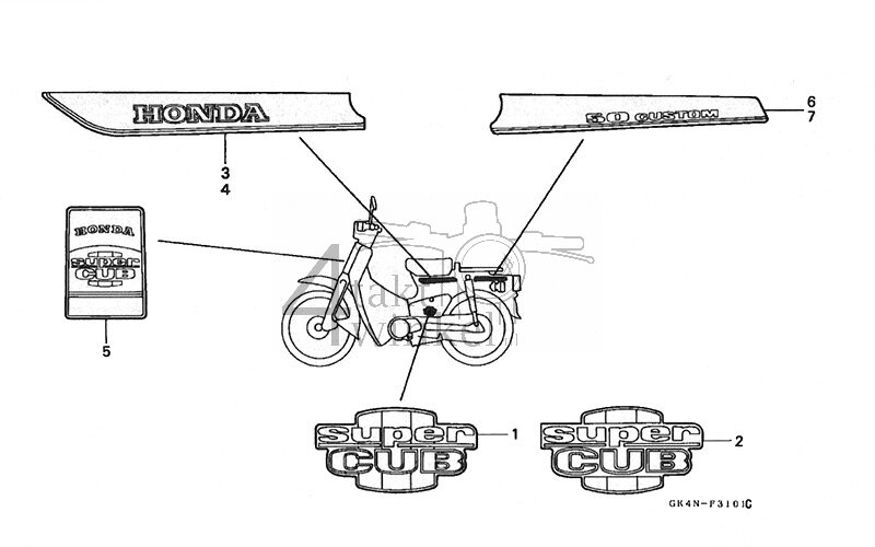 F31-1 - Striping (C50N-P) (CM2)