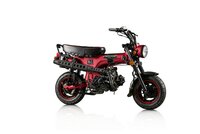 UITVERKOCHT! Skymax Flat Line, EFI, 50cc, Euro4, Cherry