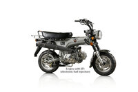 UITVERKOCHT! Skymax Club, EFI, 50cc, Euro4, Gray