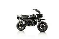 UITVERKOCHT! Skyteam Skymini, EFI, 125cc, Euro4, Zwart