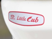 Little-cub