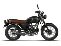 Hanway RAW50 Euro 4 technische tekeningen