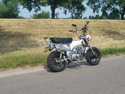 Skyteam Dax 70cc, Wit, 8460km